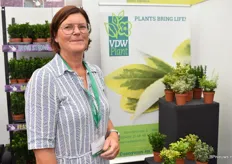 Inge De Clercq of VDW Plant met presenting Eonymus. She was also presenting their Azaleas that they will supply next season.